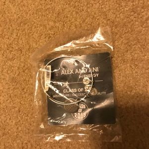 Alex and Ani class of 2013 bracelet